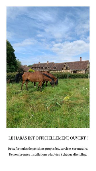 Haras de la Ferrandière - photo 3