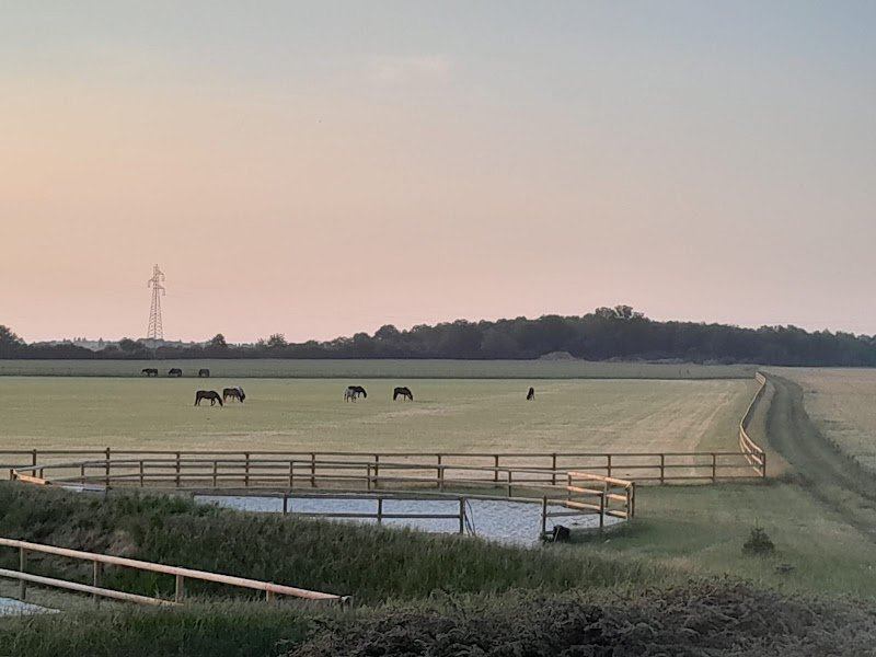 Écurie active Infinite - photo 1