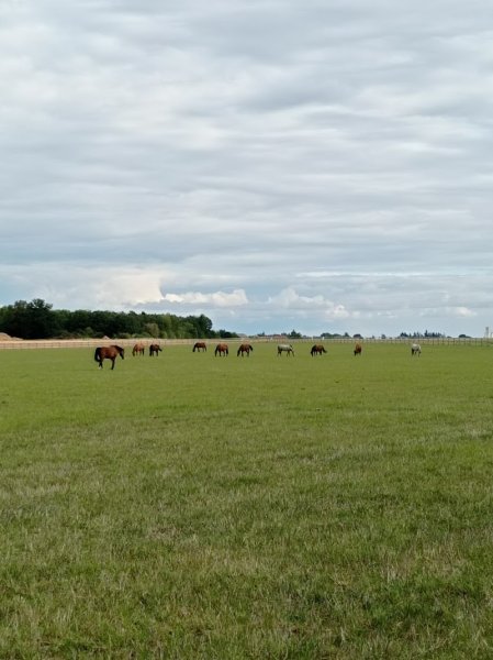 Écurie active Infinite - photo 3