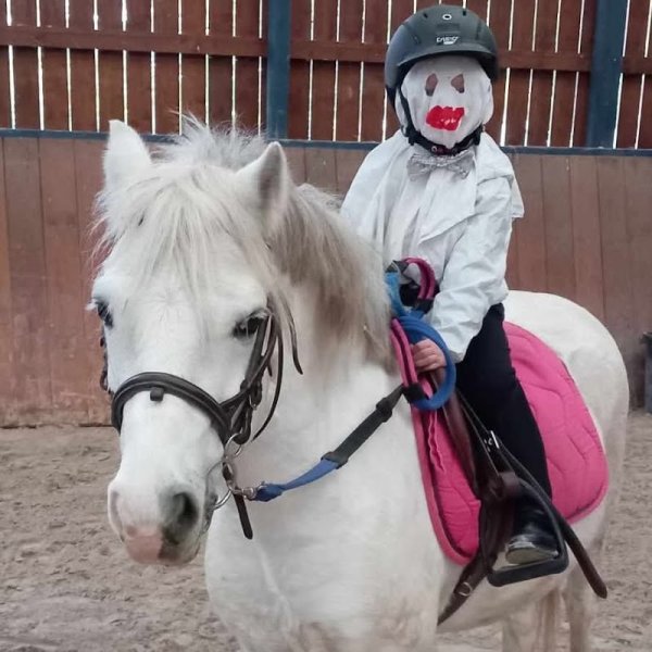 Ecuries Virginie Leblond - photo 2