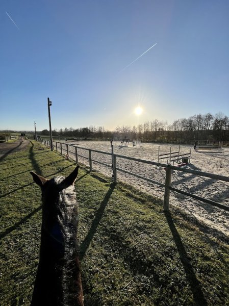Les Écuries de Bourdonné - photo 2