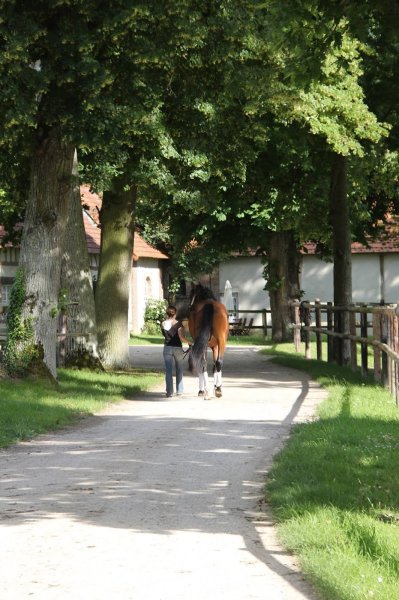 Haras de Mormoulins