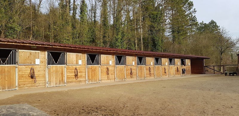 Haras de Mormoulins - photo 3