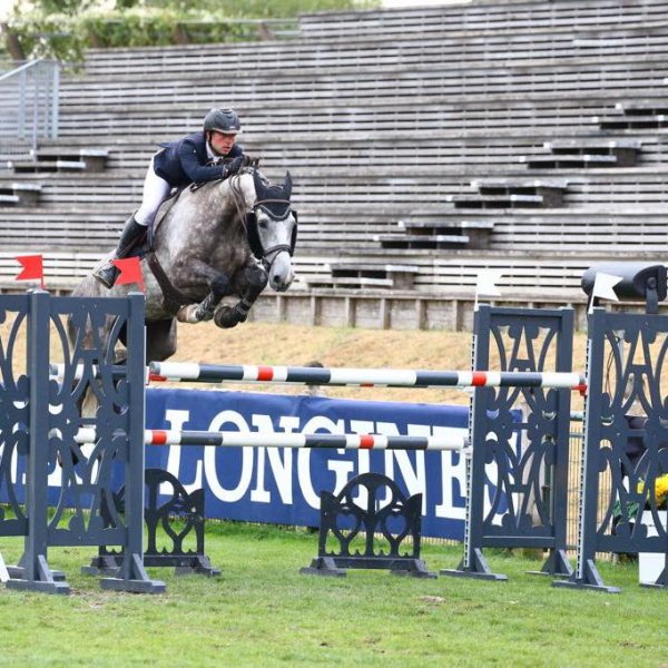 V&M Stables - photo 2