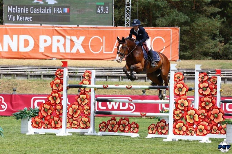 V&M Stables - photo 3