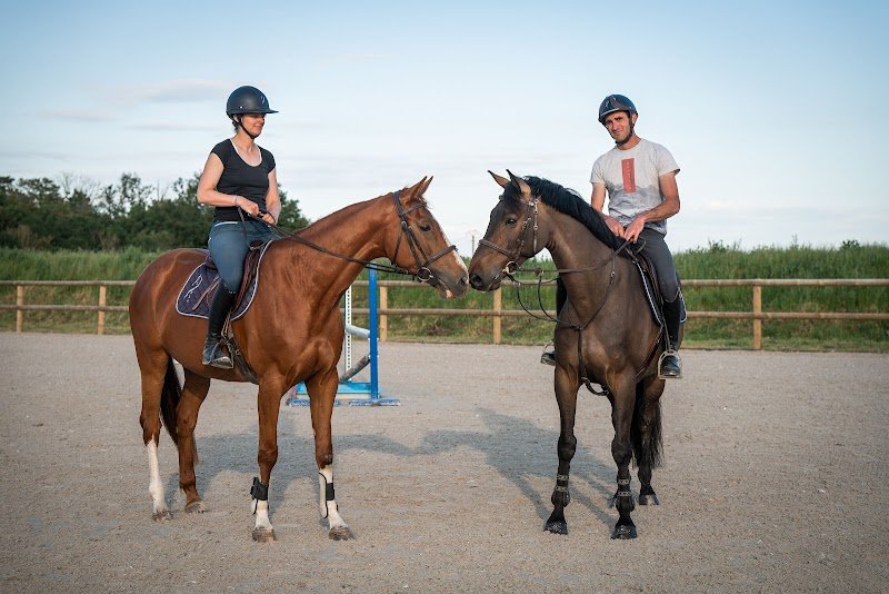 Haras du Trèfle Blanc - photo 2