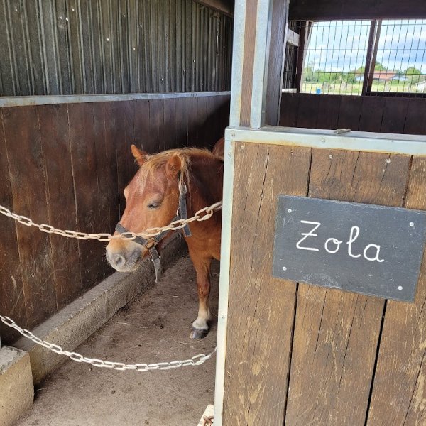 Ferme Equestre de Montecot - photo 2