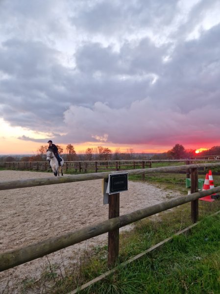 Ecuries du Moulin à Vent - photo 2