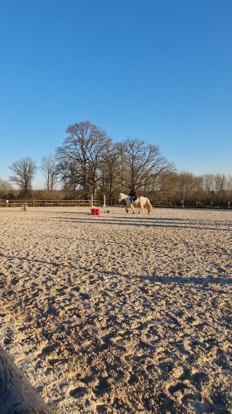 Ecuries du Moulin à Vent - photo 3