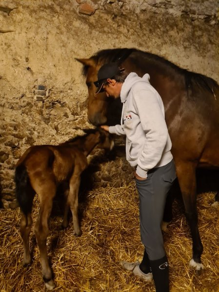 Ecurie Aurelien Ghennam - photo 2