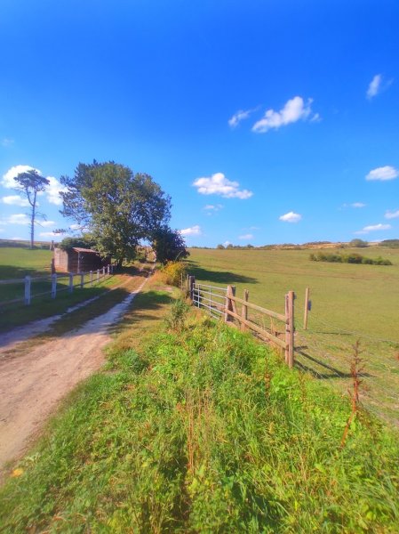 Les Chevaux de l'Arche - photo 1