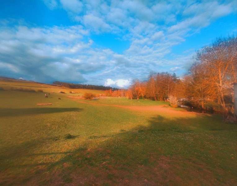 Les Chevaux de l'Arche - photo 2