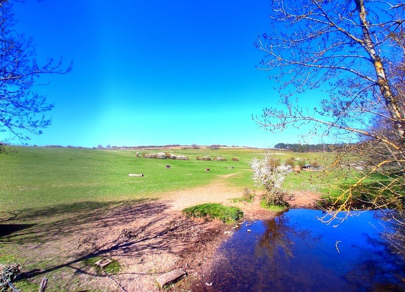 Les Chevaux de l'Arche - photo 3