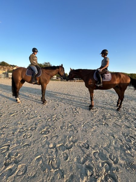 Écurie de la Tour - photo 2