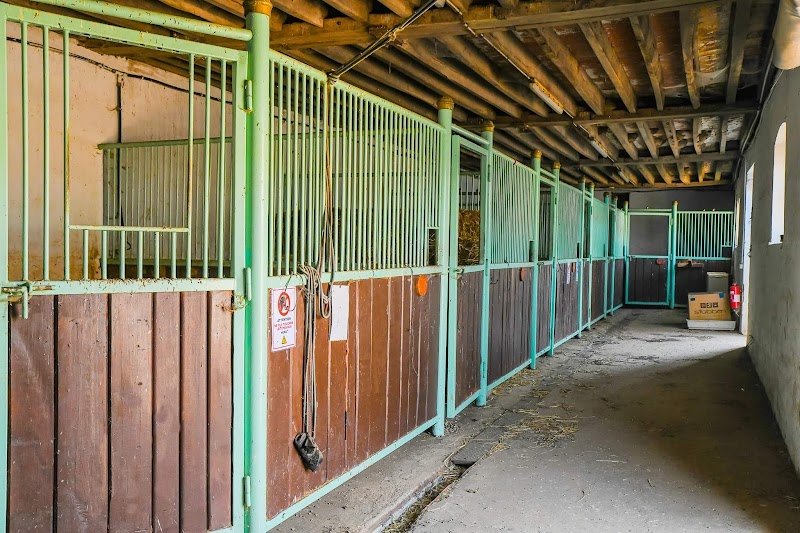 Hopps Family Stables - Les Ecuries du Marais - photo 3