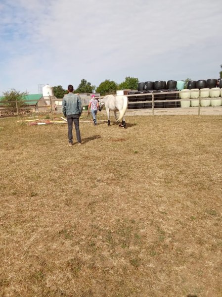 Écuries de guillerval - photo 1