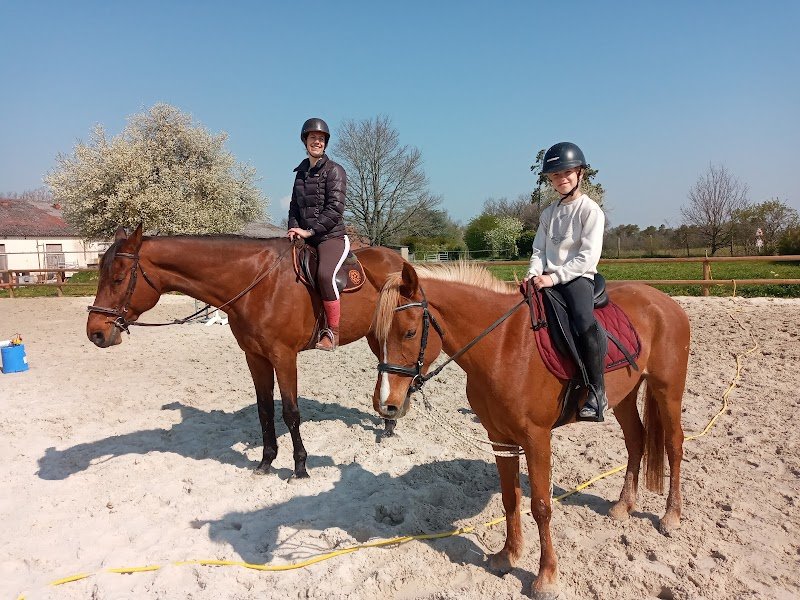 Écuries de guillerval - photo 3