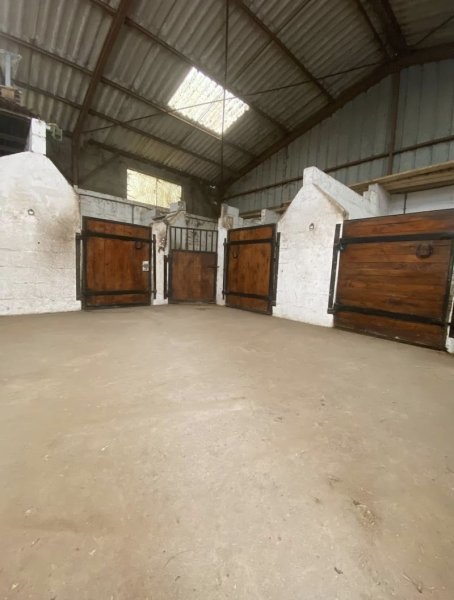 Les écuries du pommelé - photo 2