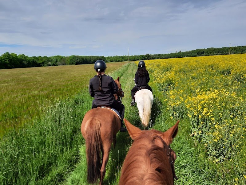 les écuries de la livarderie