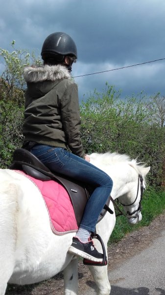 les écuries de la livarderie - photo 3