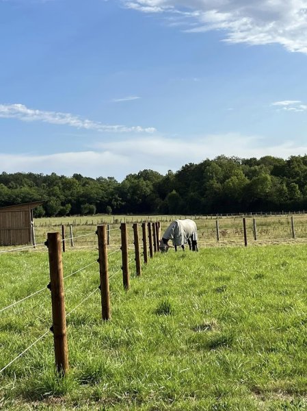 Les écuries de La Loinière - photo 1