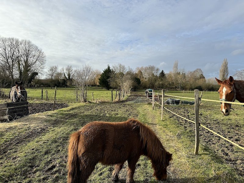 Ecuries Gaec Des Sources