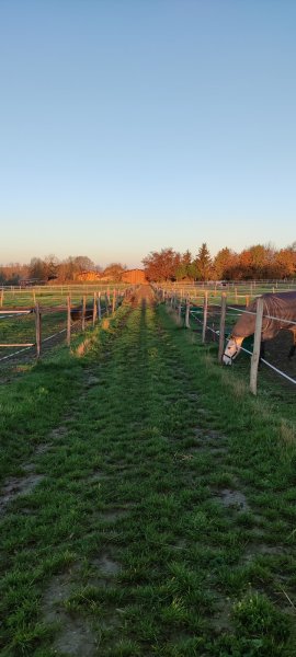 Ecuries Gaec Des Sources - photo 2