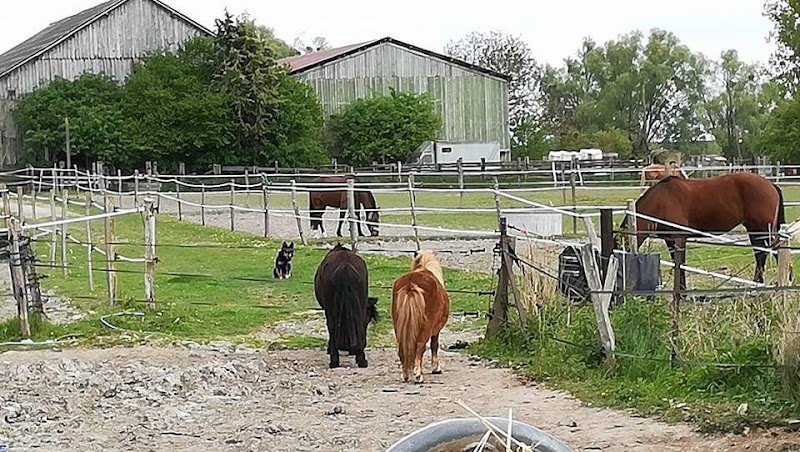 Ecuries Gaec Des Sources - photo 3