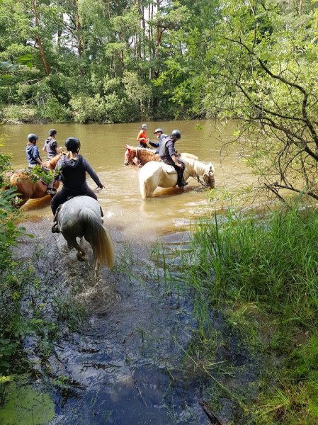 Centre Equestre Les Ecuries des Couleurs - photo 2