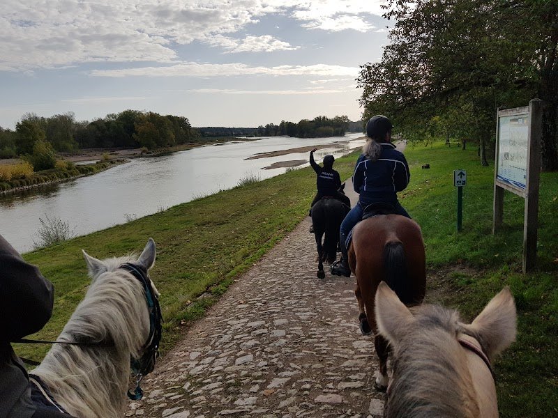 Centre Equestre Les Ecuries des Couleurs - photo 3