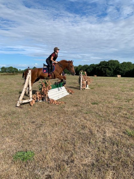 ECURIE DES CLOTINS - photo 2