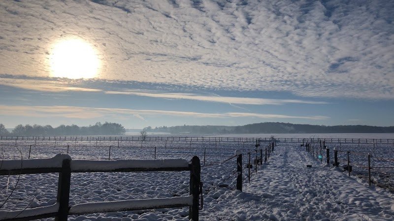 HARAS DES SABLES - photo 3