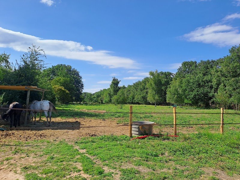 Pension de Tulipe - photo 1