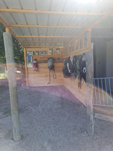 Pension de Tulipe - photo 2