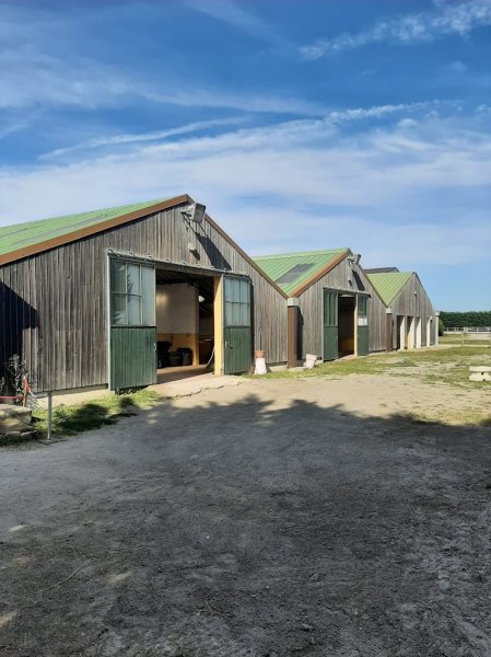 Ecuries de Suisnes - Poney Club - Pension Cheval - photo 1