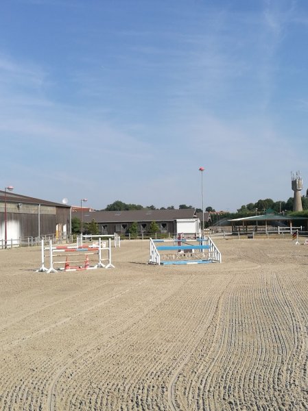 Ecuries de Suisnes - Poney Club - Pension Cheval - photo 2