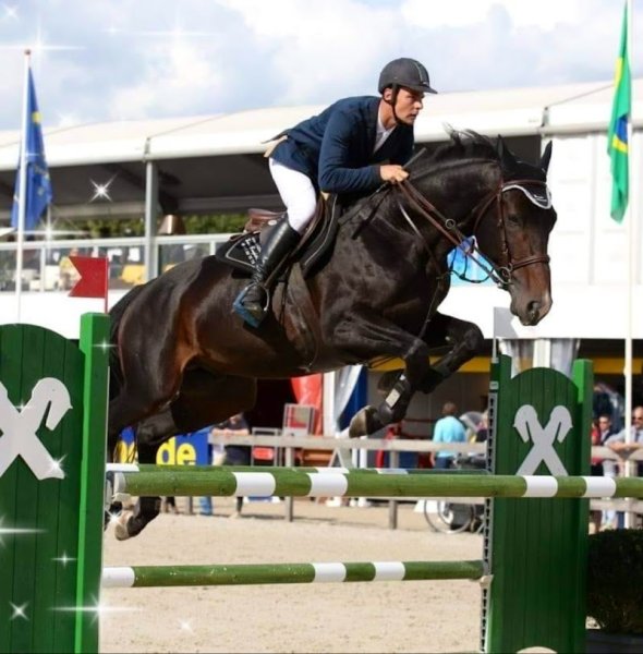 Écurie Des Étoiles - Arnaud GERMAIN