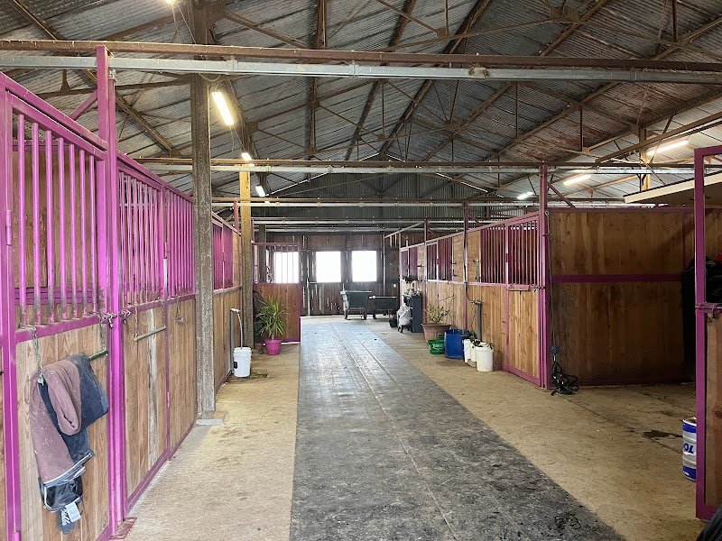 Écurie Des Étoiles - Arnaud GERMAIN - photo 2