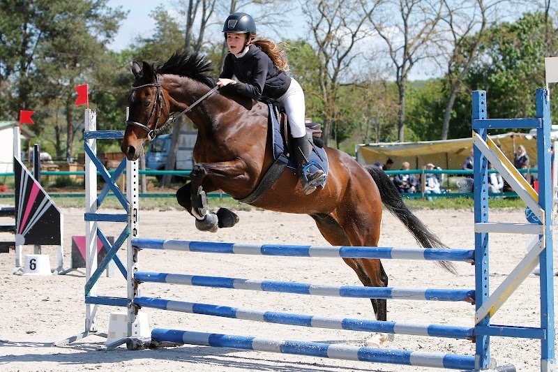 Centre Equestre de Treon - photo 2