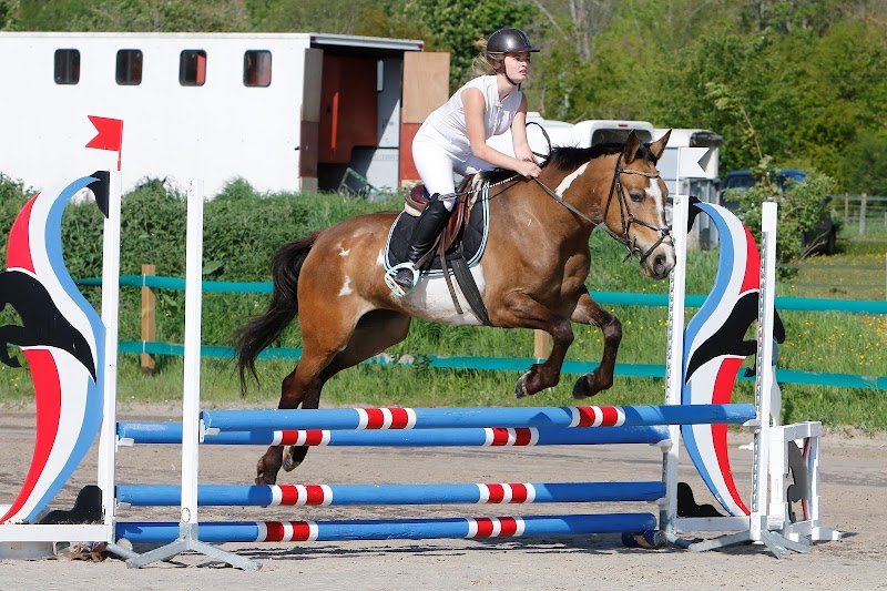 Centre Equestre de Treon - photo 3