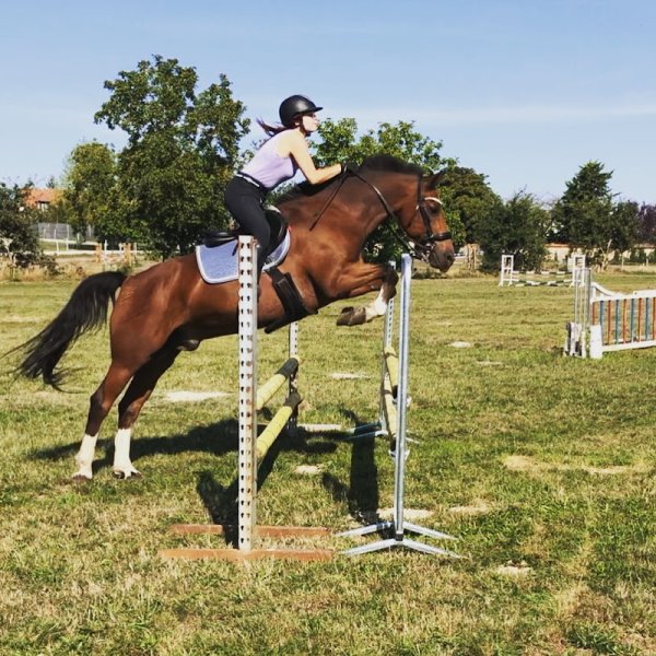 LES ECURIES DE GALLUIS - photo 1