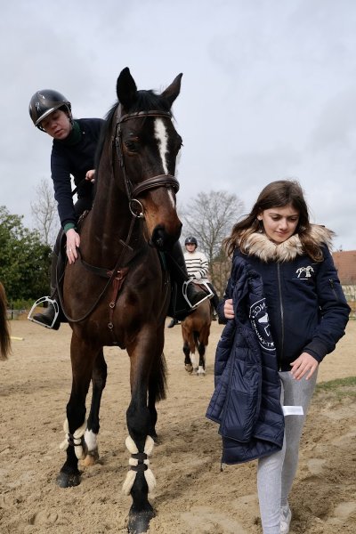 LES ECURIES DE GALLUIS - photo 3