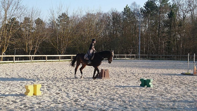 Domaine Equestre de Berchères - photo 2