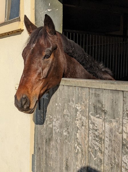 Domaine Equestre de Berchères - photo 3