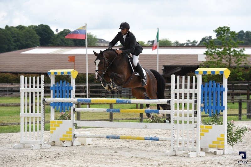 Écurie de La Minière - photo 3