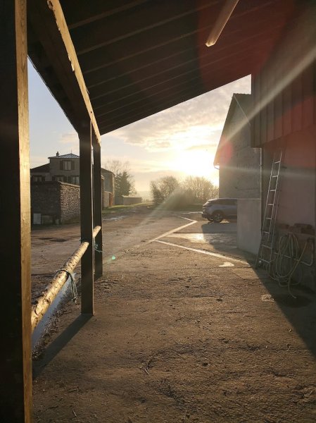 Les Écuries de La Massicoterie - photo 2