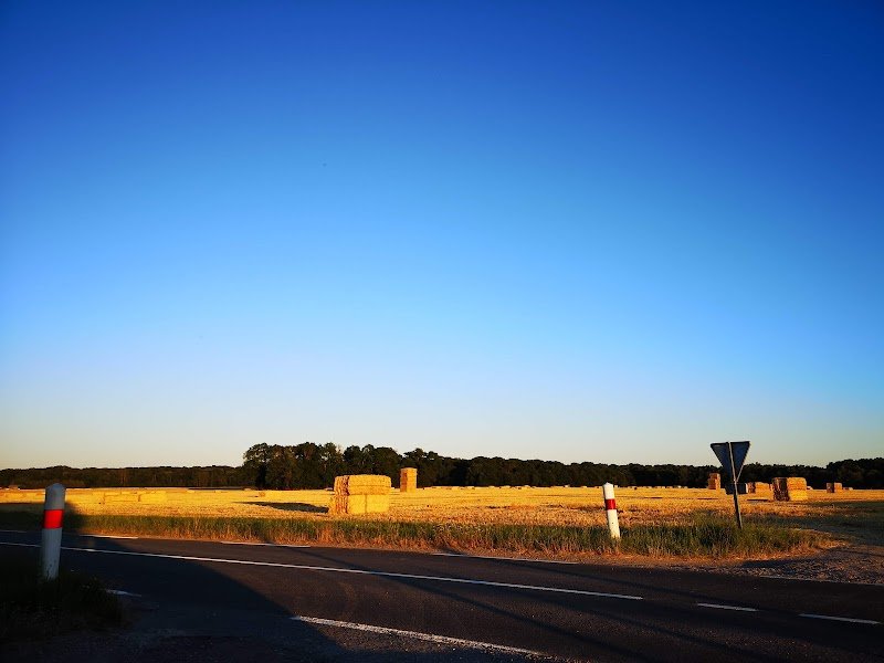 Les Écuries de La Massicoterie - photo 3