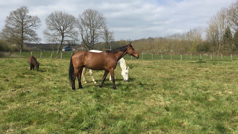 Centre Equestre De La Velarderie - photo 2