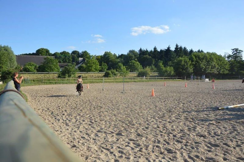 HARAS DE LA FRESNAY - photo 3