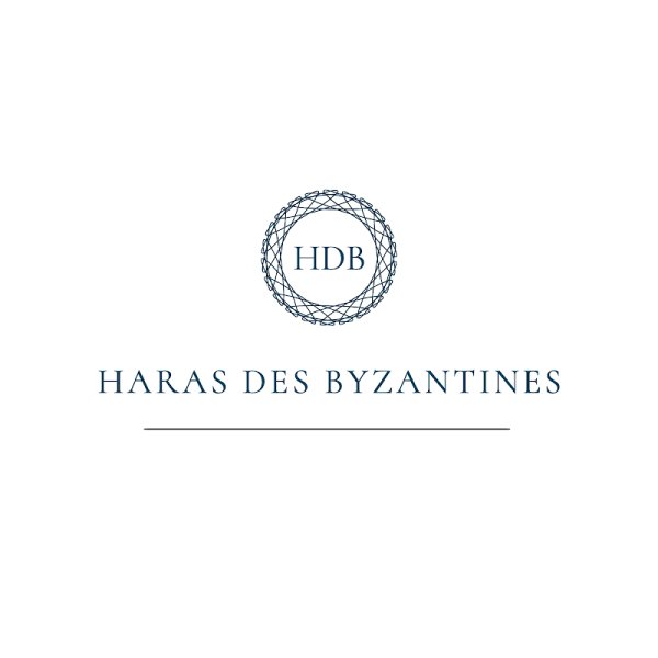 Haras des Byzantines - photo 1